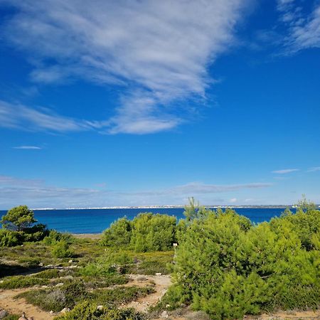 Villa Maria In Puglia Con Pineta Vicino Al Mare Torre Suda Exterior foto