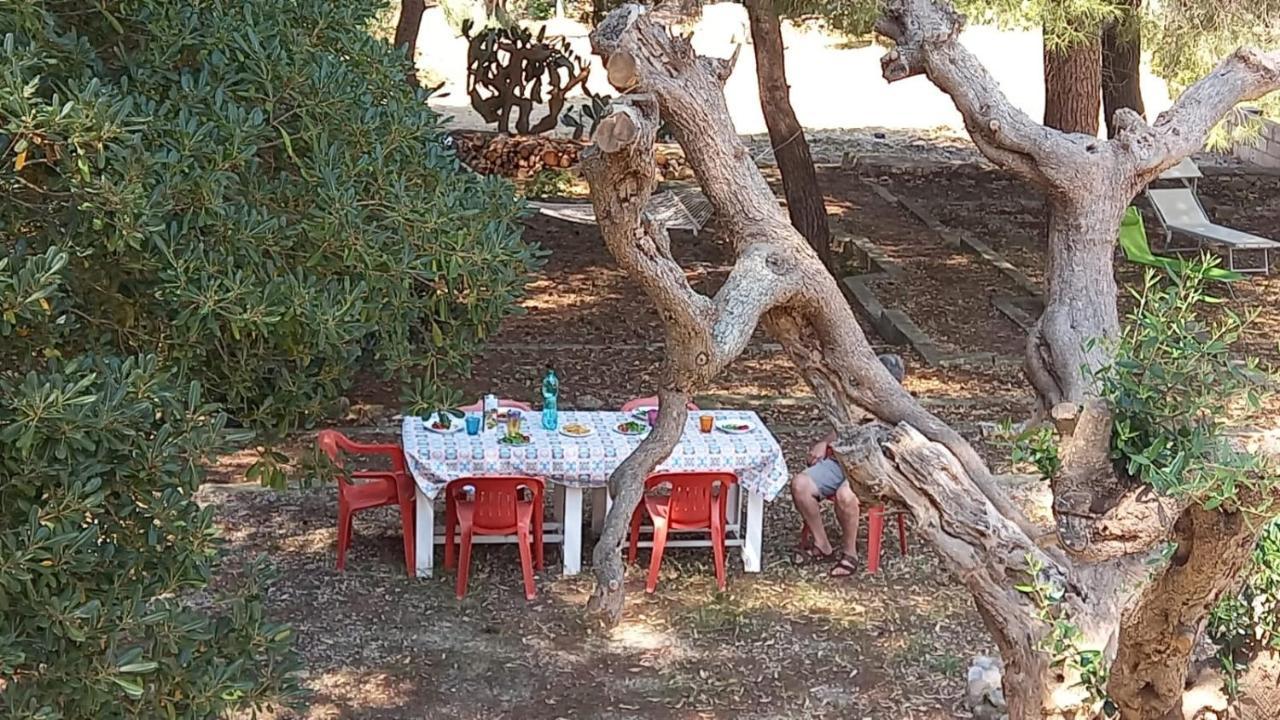 Villa Maria In Puglia Con Pineta Vicino Al Mare Torre Suda Exterior foto