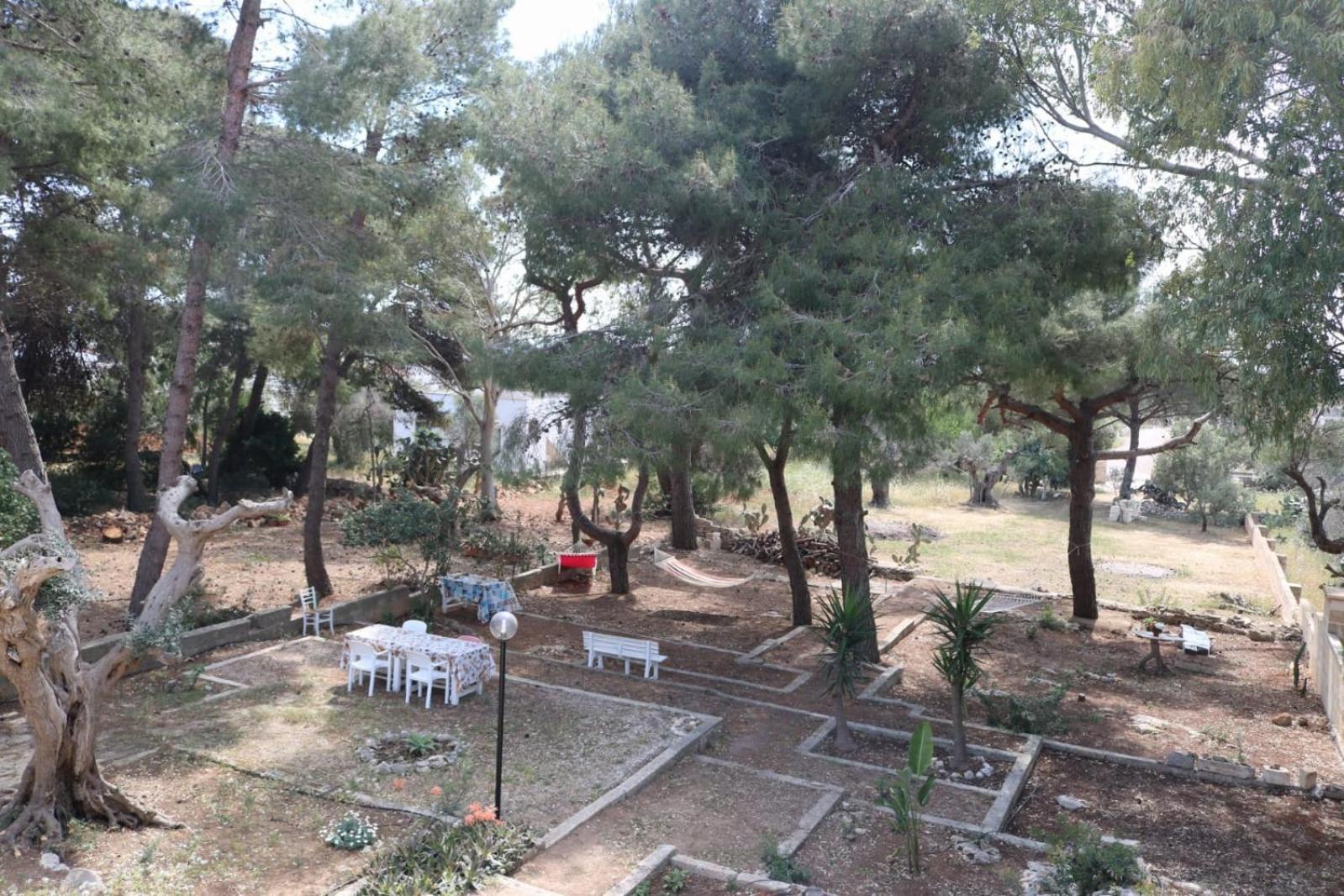 Villa Maria In Puglia Con Pineta Vicino Al Mare Torre Suda Exterior foto