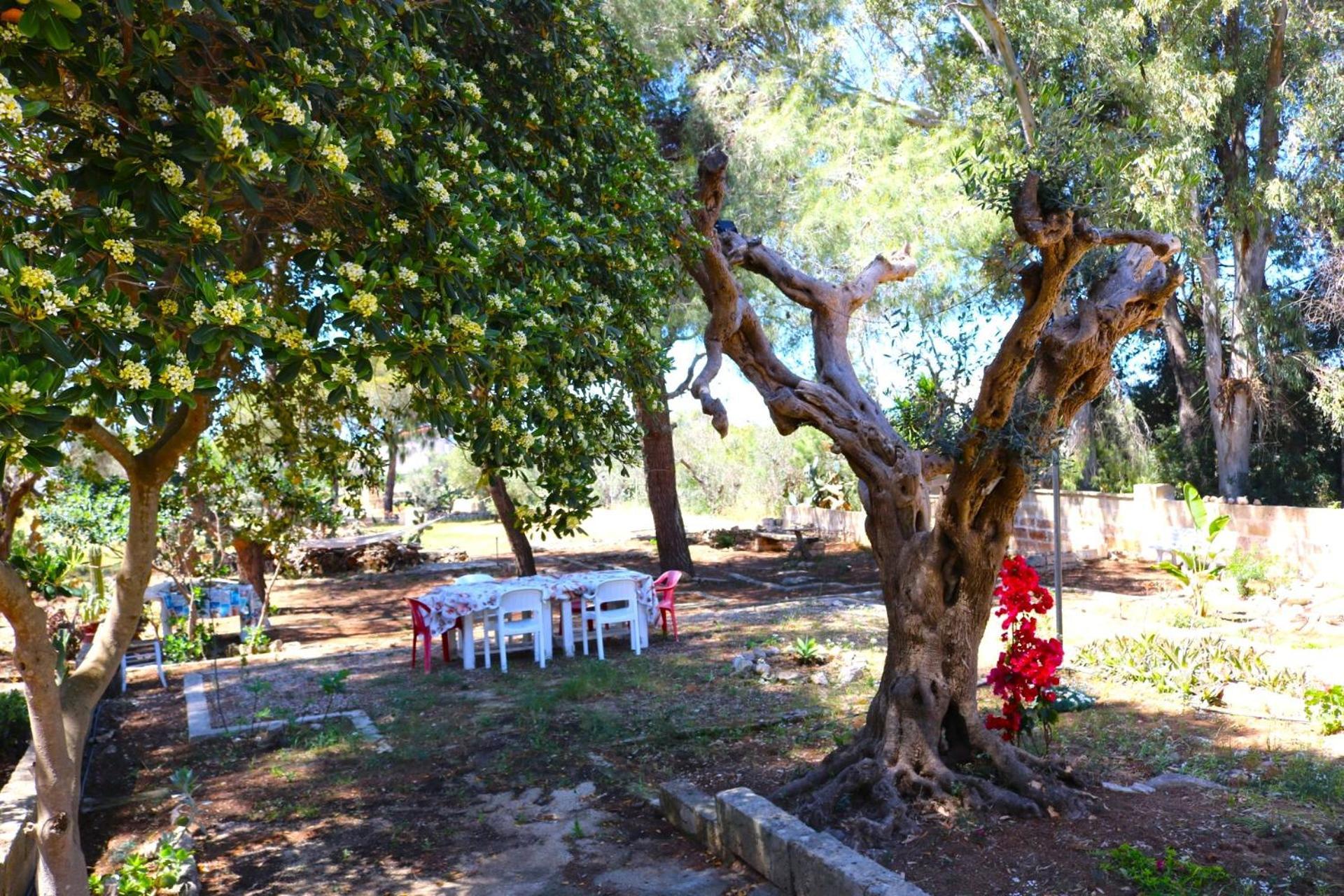 Villa Maria In Puglia Con Pineta Vicino Al Mare Torre Suda Exterior foto